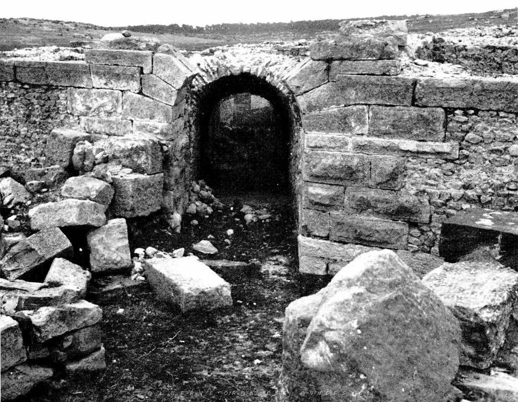 ALGERIE-RUINES ROMAINES DE LAMBESE (50).jpg